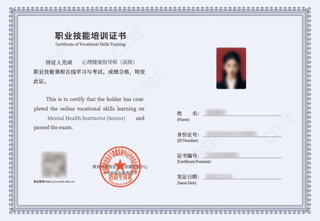 中央电化教育馆心理健康指导师项目介绍
